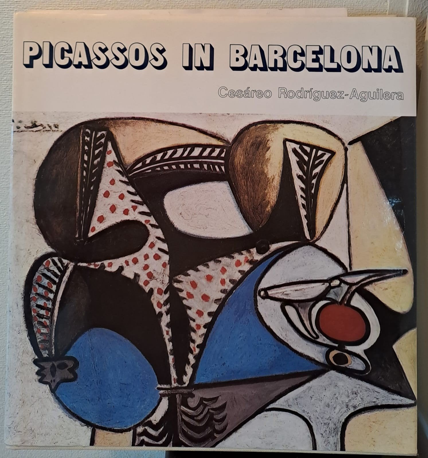 Picassos in Barcelona, Verzenden, Zo goed als nieuw, Fotografen