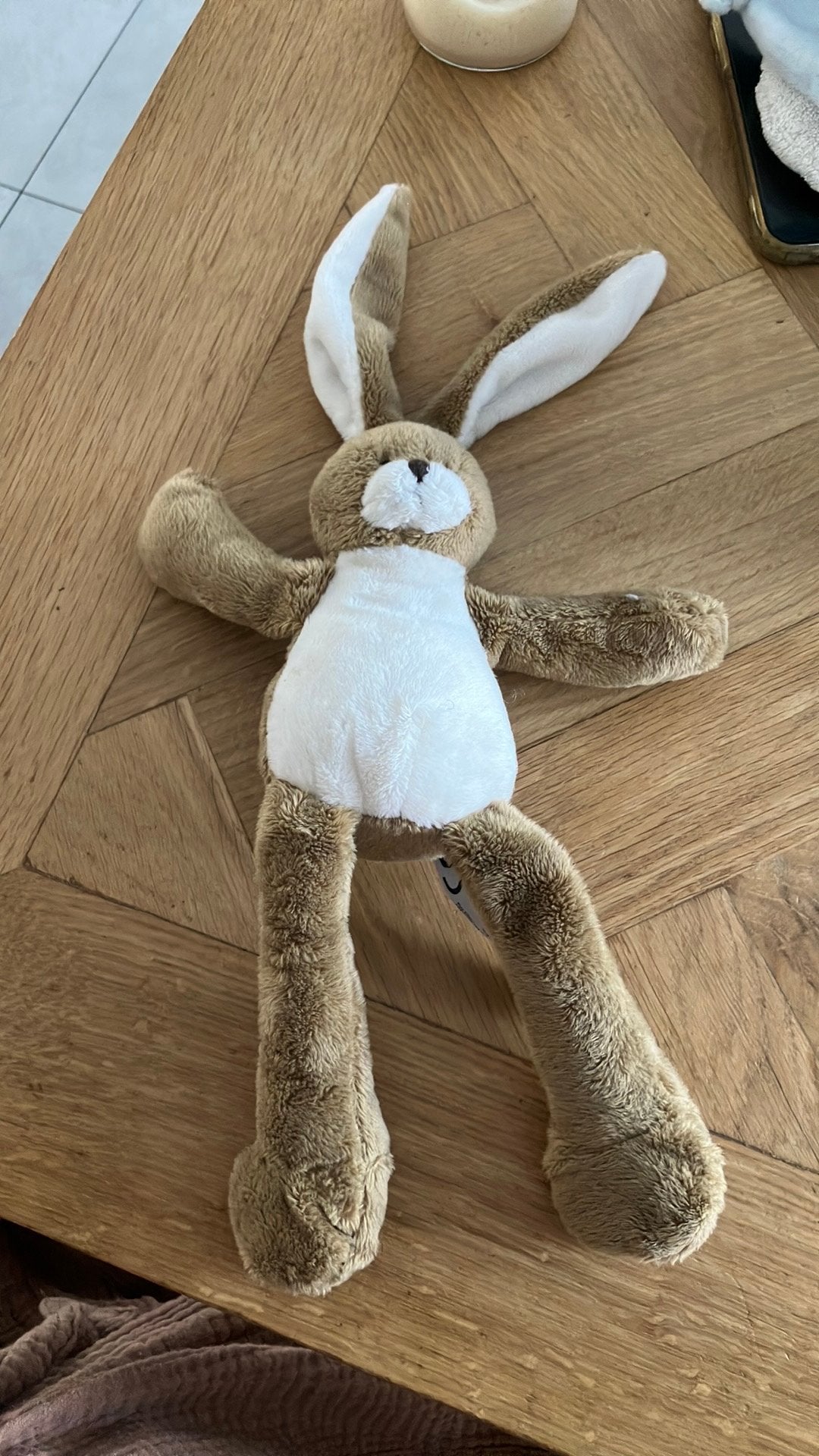 Bunny friend konijn haas, Ophalen of Verzenden, Zo goed als nieuw, Konijn