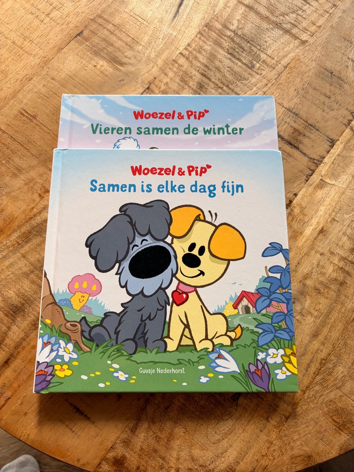 Woezel en Pip boekjes - Vieren samen de winter & Samen is el, Ophalen of Verzenden, Zo goed als nieuw, 2 tot 3 jaar
