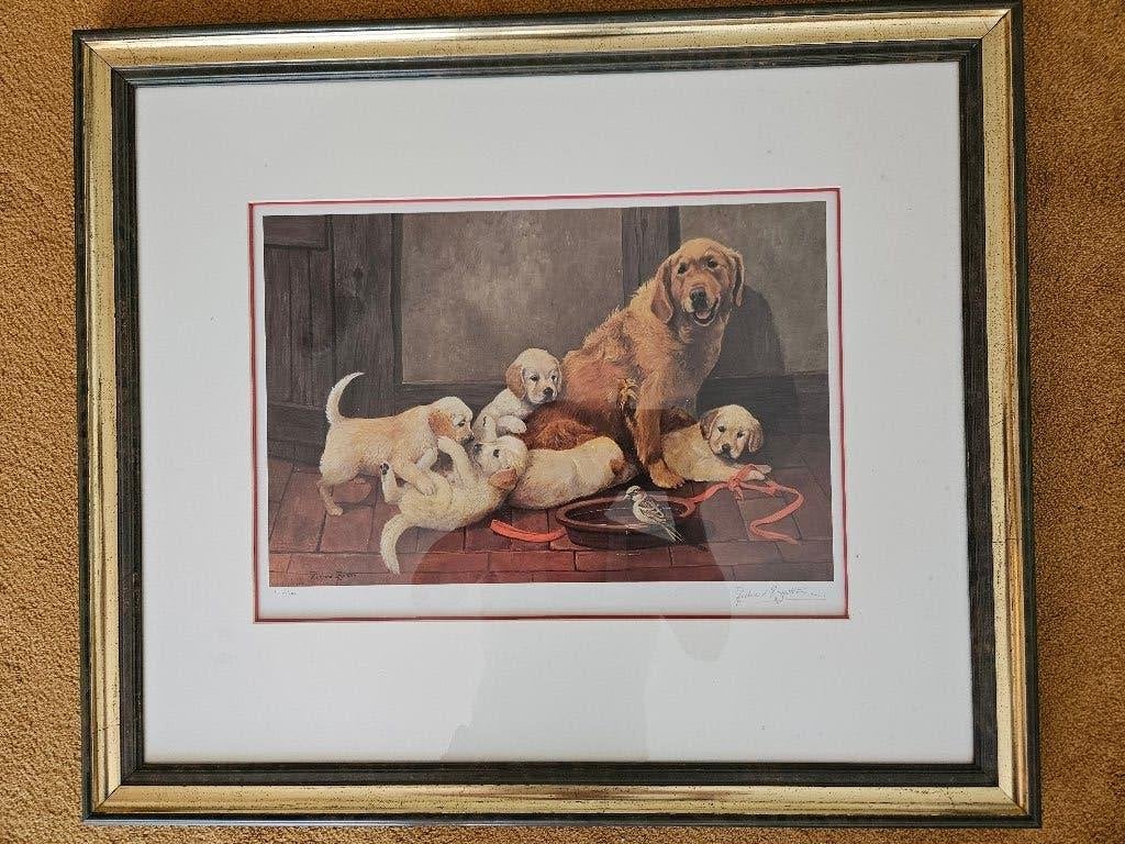 R. Britton FLYING VISIT Golden Retriever met pups INGELIJST, Ophalen, Dieren, Print, Papier