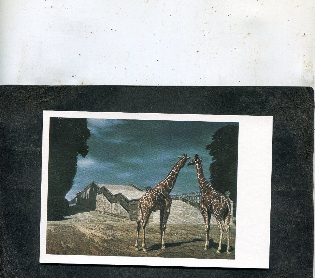 Ansicht Carel Willink - Twee giraffen in het park van Versai, Verzamelen, Verzenden, 1980 tot heden, Ongelopen