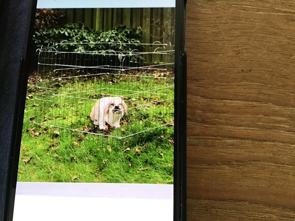 Konijnenren, Dieren en Toebehoren, Ophalen of Verzenden, Zo goed als nieuw