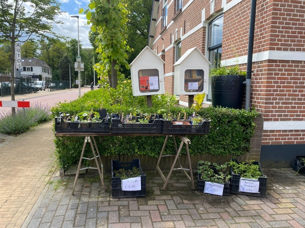 Plantjes en stekken, Vaste plant, Halfschaduw, Zomer, Ophalen