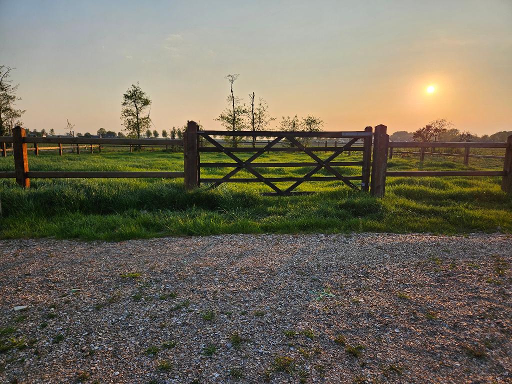 Weidegang voor 2 pony's -  Borssele, Weidegang, 2 of 3 paarden of pony's