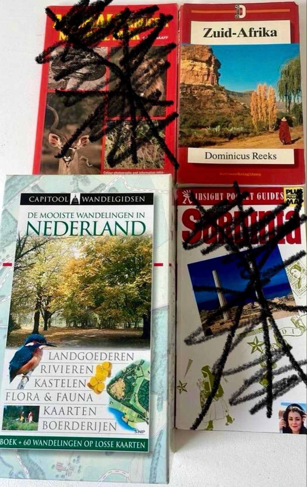 Capitool Wandelgids: De Mooiste Wandelingen in Nederland, Boeken, Capitool, Fiets- of Wandelgids, Ophalen of Verzenden, Zo goed als nieuw