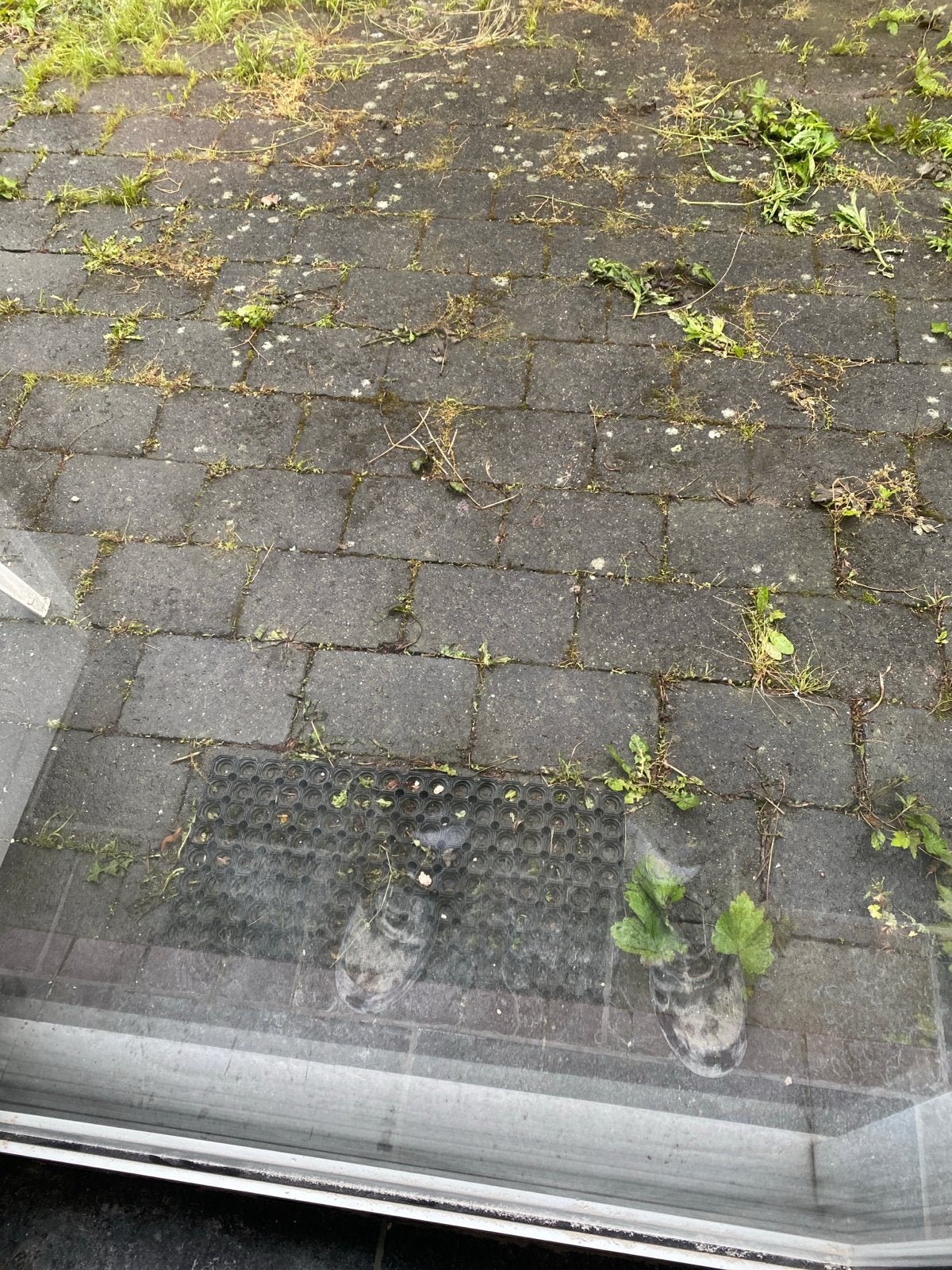 Gratis af te halen: 100 m2 gebruikte klinkers, Tuin en Terras, Gebruikt, Klinkers, Ophalen of Verzenden, 10 m² of meer