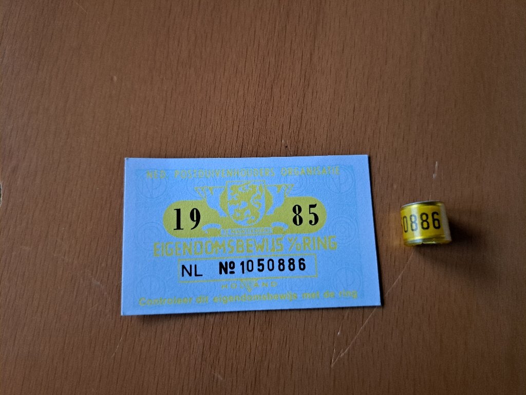 Duivenring 1985 met bewijs, Ophalen of Verzenden, Beeldje of Figuurtje