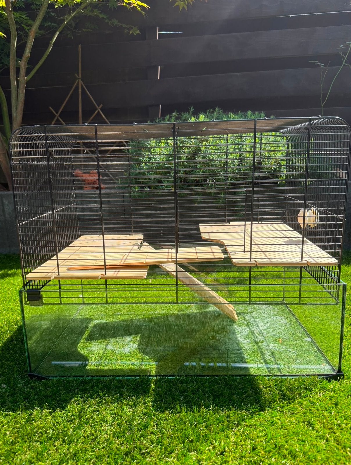 Hamsterkooi, Kooi, Gebruikt, Minder dan 75 cm, Hamster