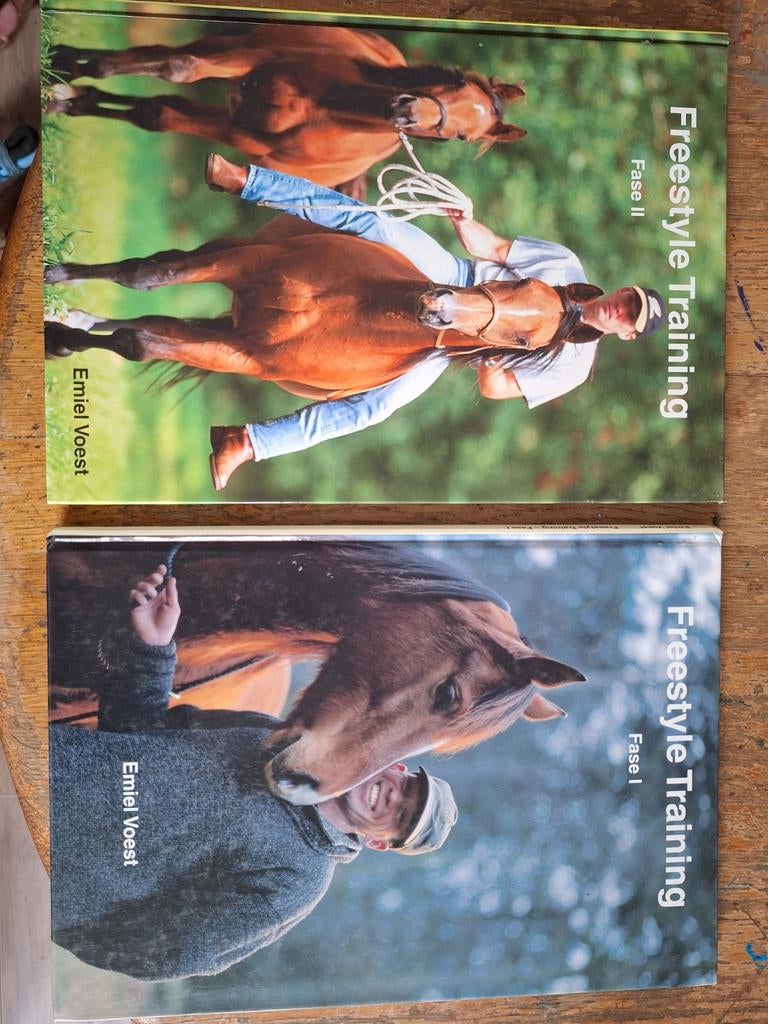 Emiel Voest, Boeken, Ophalen, Gelezen