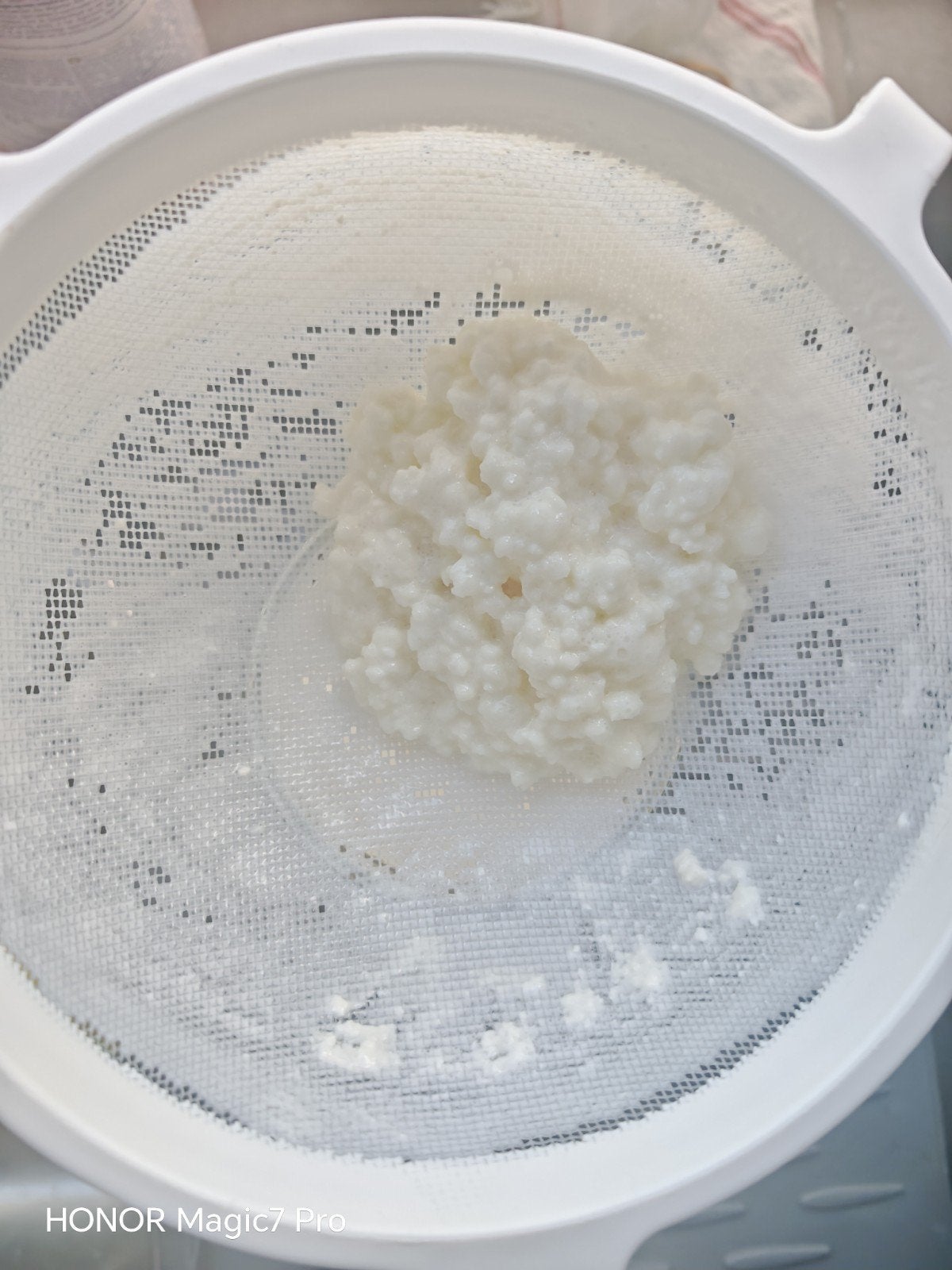 melk kefir korrels, Diversen, Ophalen of Verzenden