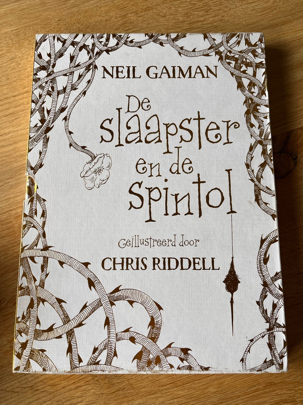 De Slaapster en de Spintol - Neil Gaiman (Geïllustreerd), Ophalen of Verzenden, Zo goed als nieuw