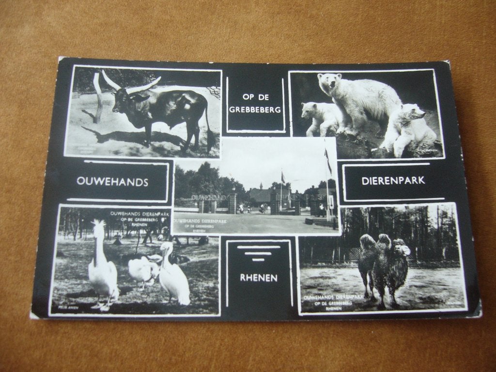 RHENEN =  5 LUIK VAN OUWEHANDS DIERENPARK, Ophalen of Verzenden, 1940 tot 1960, Gelopen, Utrecht