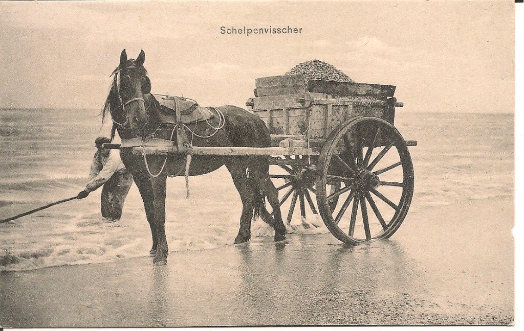 Oude ansichtkaart: Schelpenvisser met paard en kar, Ophalen of Verzenden, 1920 tot 1940, Gelopen, Zuid-Holland