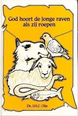Twee prekenboeken van Ds. J. H. C. Olie, Ophalen of Verzenden, Gelezen, Ds. J. H. C. Olie, Christendom | Protestants