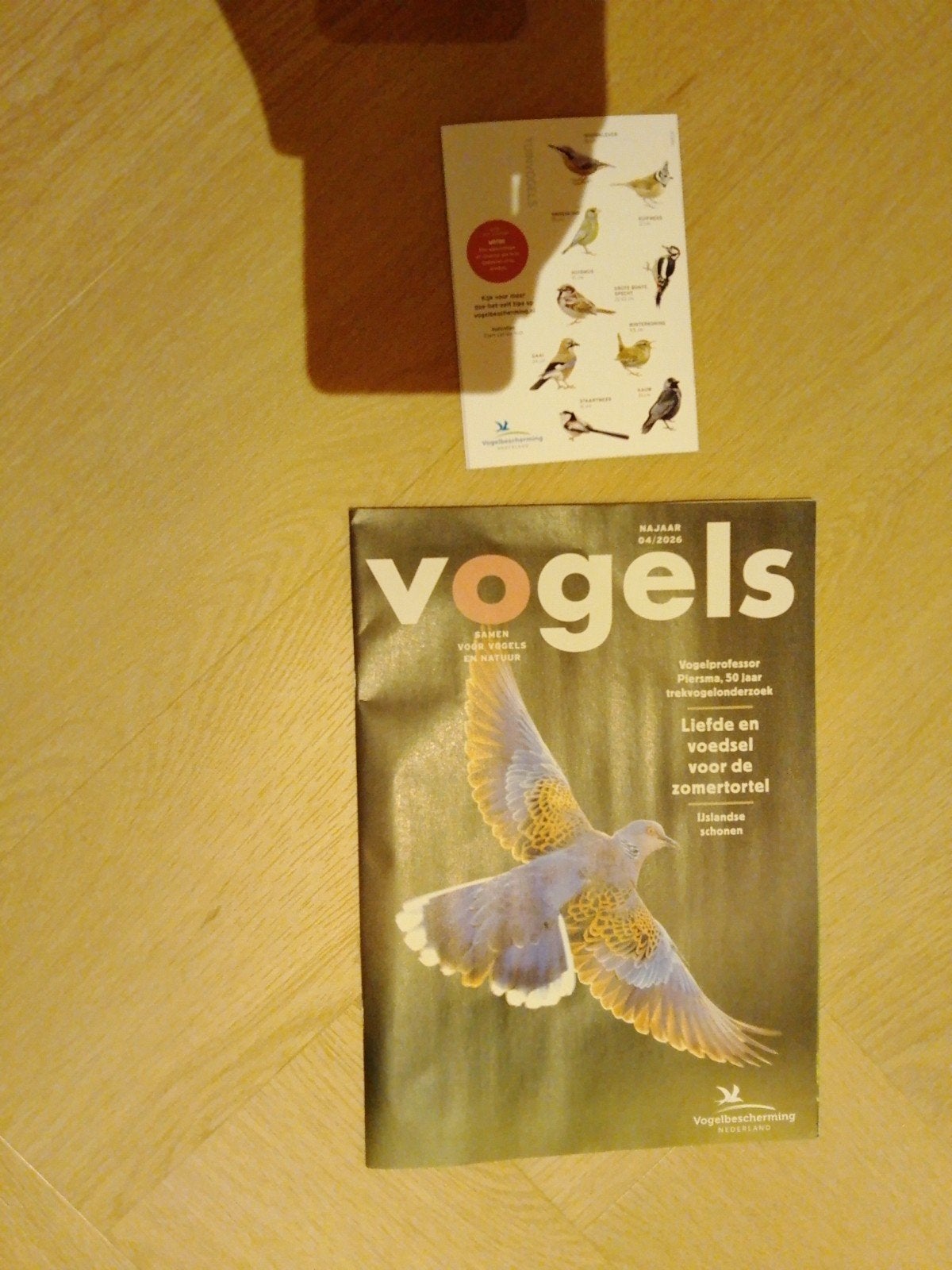 vogels 4-2026 + vogelgidsje, Nieuw, Ophalen of Verzenden, Vogelbescherming, Vogels