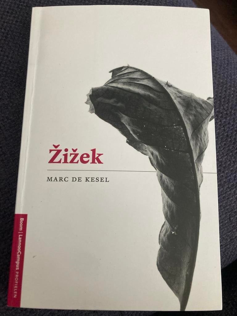 Žižek - Marc de Kesel (Filosofie), Boeken, Ophalen of Verzenden, Zo goed als nieuw, Wijsbegeerte of Ethiek