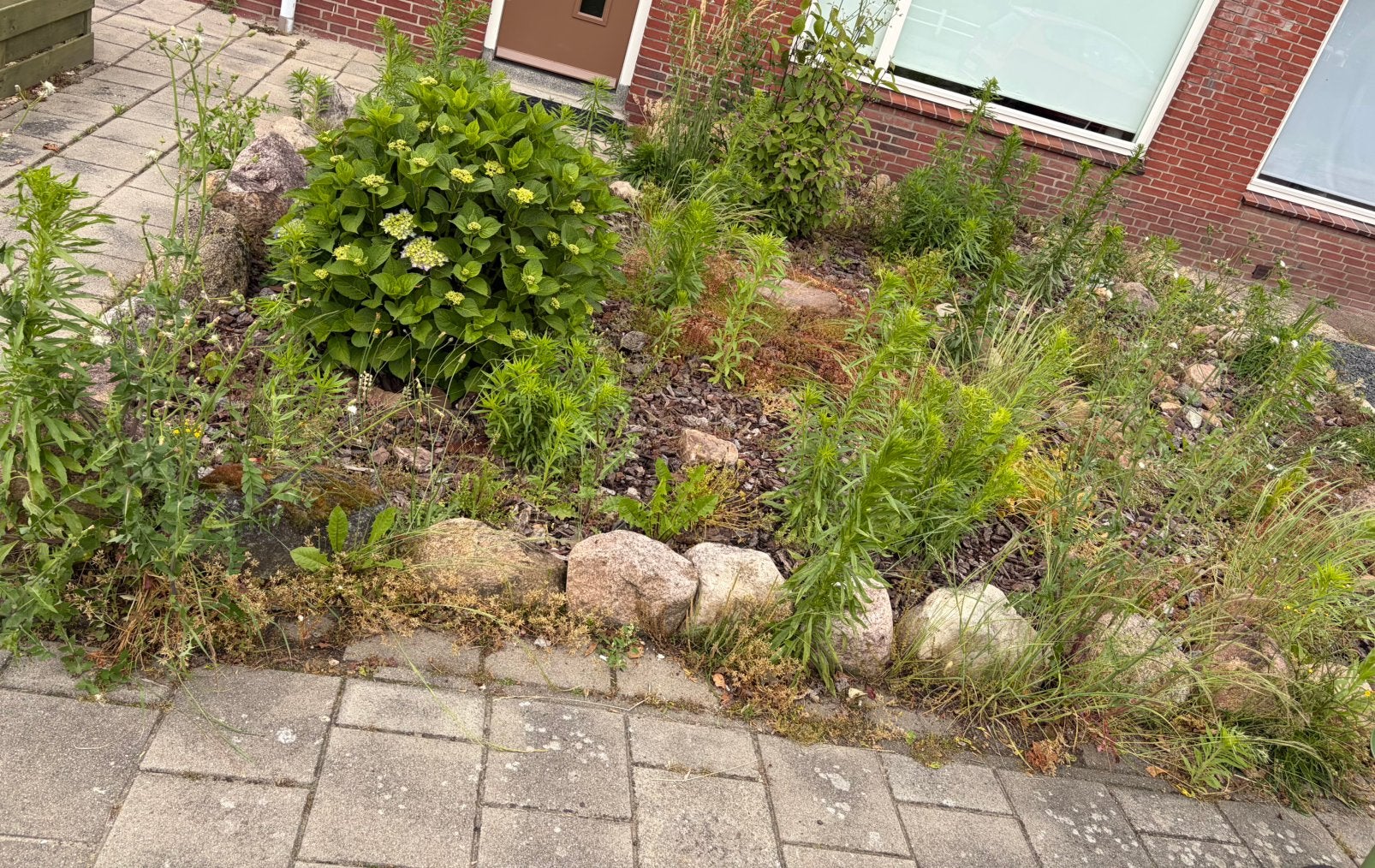 Tuinman nodig?, Tuin en Terras, Ophalen, Zo goed als nieuw