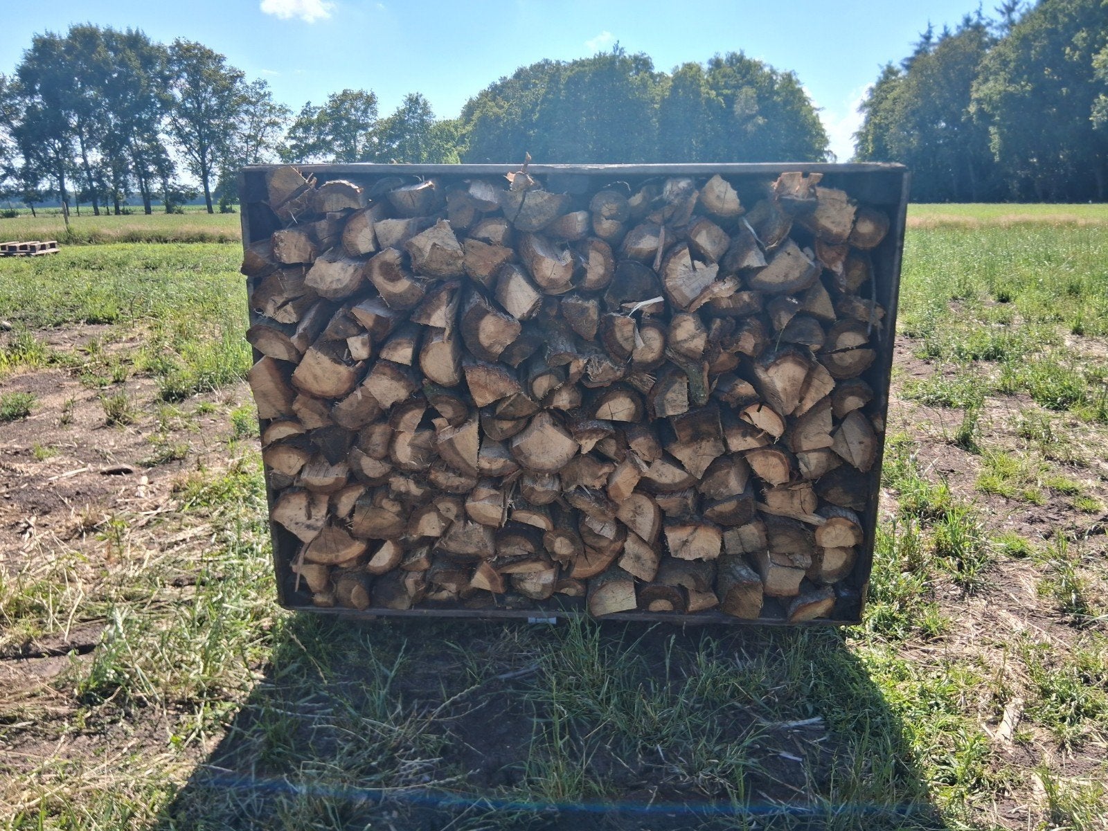 2.2 kuub eiken haardhout/brandhout, Tuin en Terras, Minder dan 3 m³, Ophalen, Eikenhout, Blokken