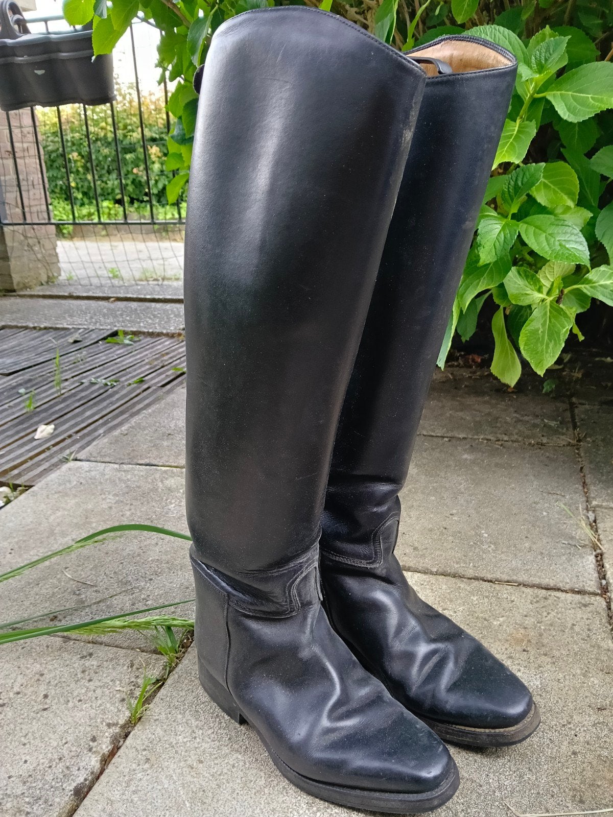 Paard rijlaarzen maat 38, Dieren en Toebehoren, Paardrijkleding, Ophalen, Dressuur, Schoeisel