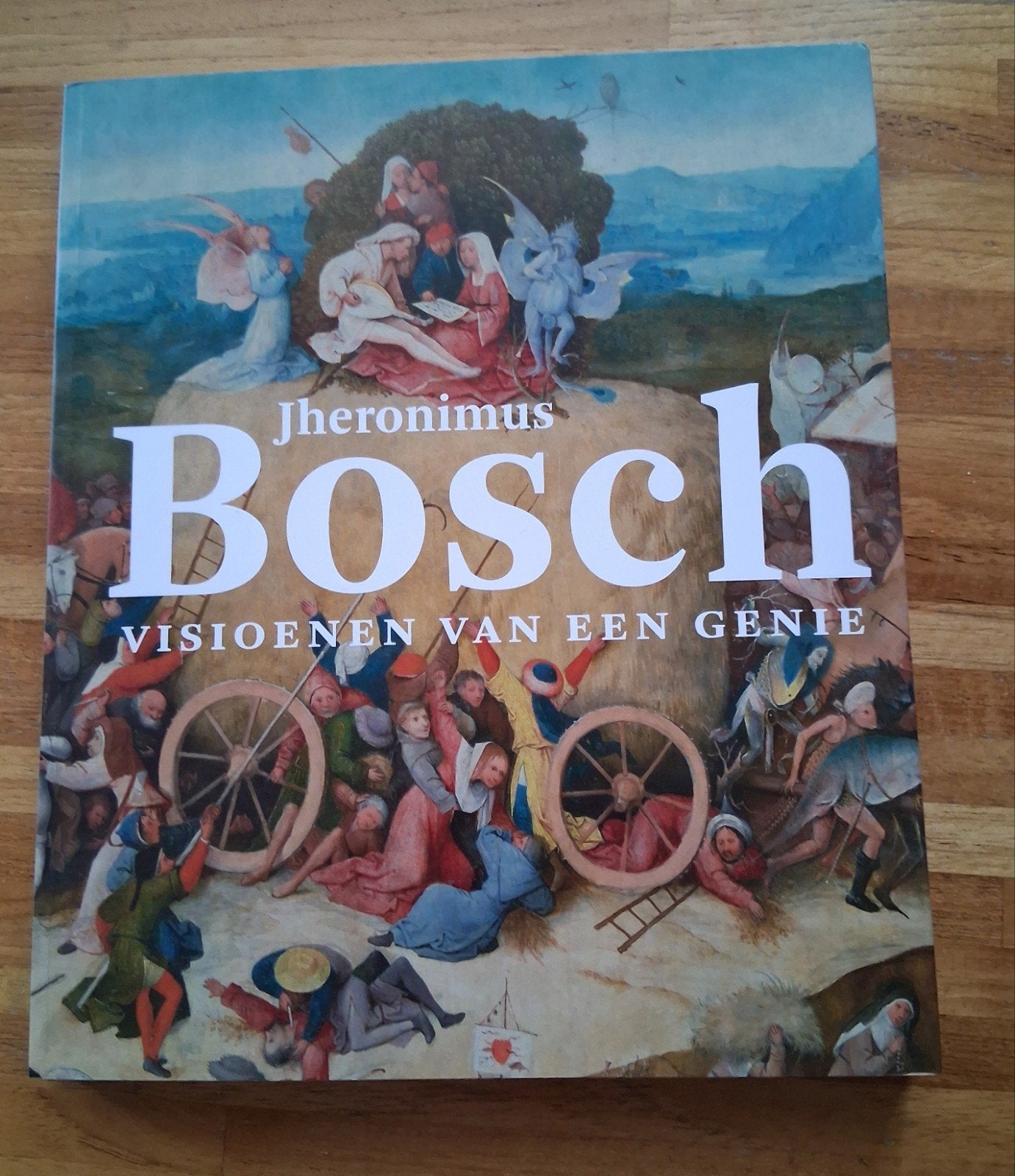Matthijs Ilsinck - Jheronimus Bosch, als nieuw., Ophalen of Verzenden, Zo goed als nieuw, Matthijs Ilsinck; Jos Koldeweij