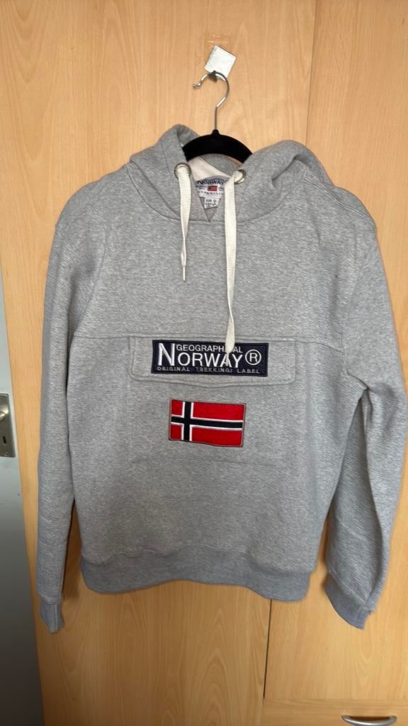 Grijze warme hoodie, Kleding | Heren, Ophalen of Verzenden, Gedragen, Maat 56/58 (XL), Grijs