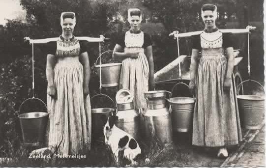Zeeland Walcheren Melkmeisjes klederdracht hond, Verzenden, 1940 tot 1960, Ongelopen, Zeeland