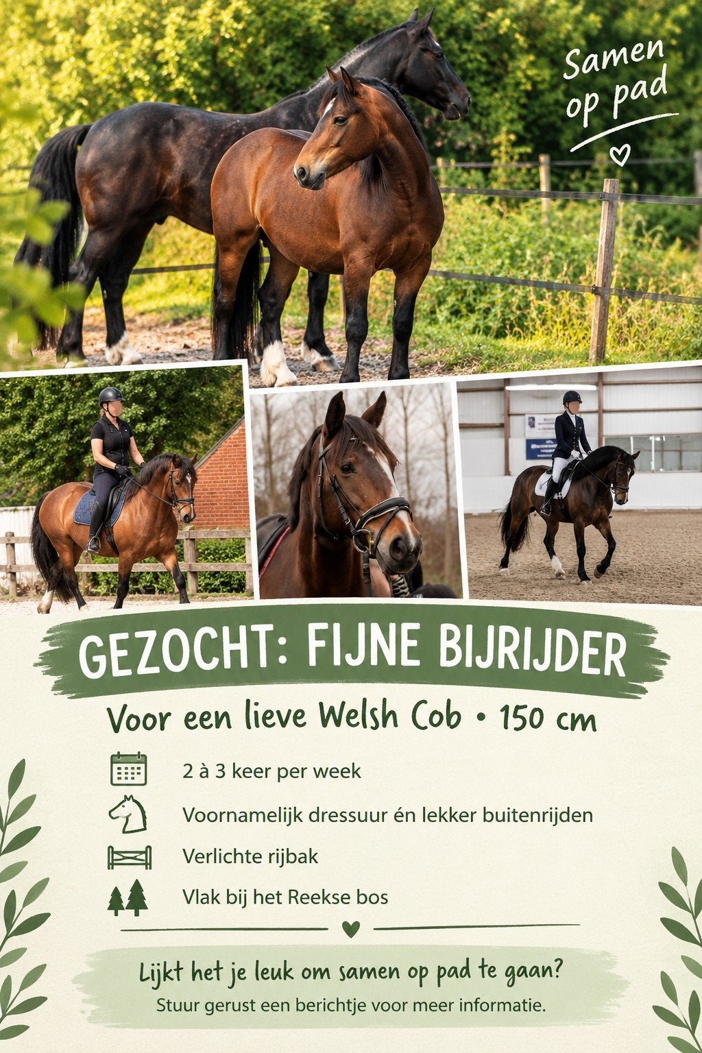 gezocht bijrijder/ ruiter omgeving Reek, Dieren en Toebehoren, Ophalen of Verzenden, Dressuur