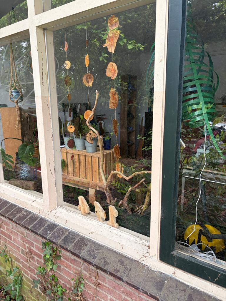 Gezocht: mooi hout, Ophalen of Verzenden