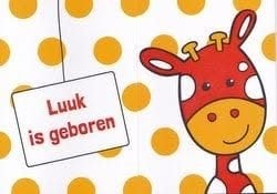 Luuk, Ophalen of Verzenden, 2000 tot heden, Geboortekaartje