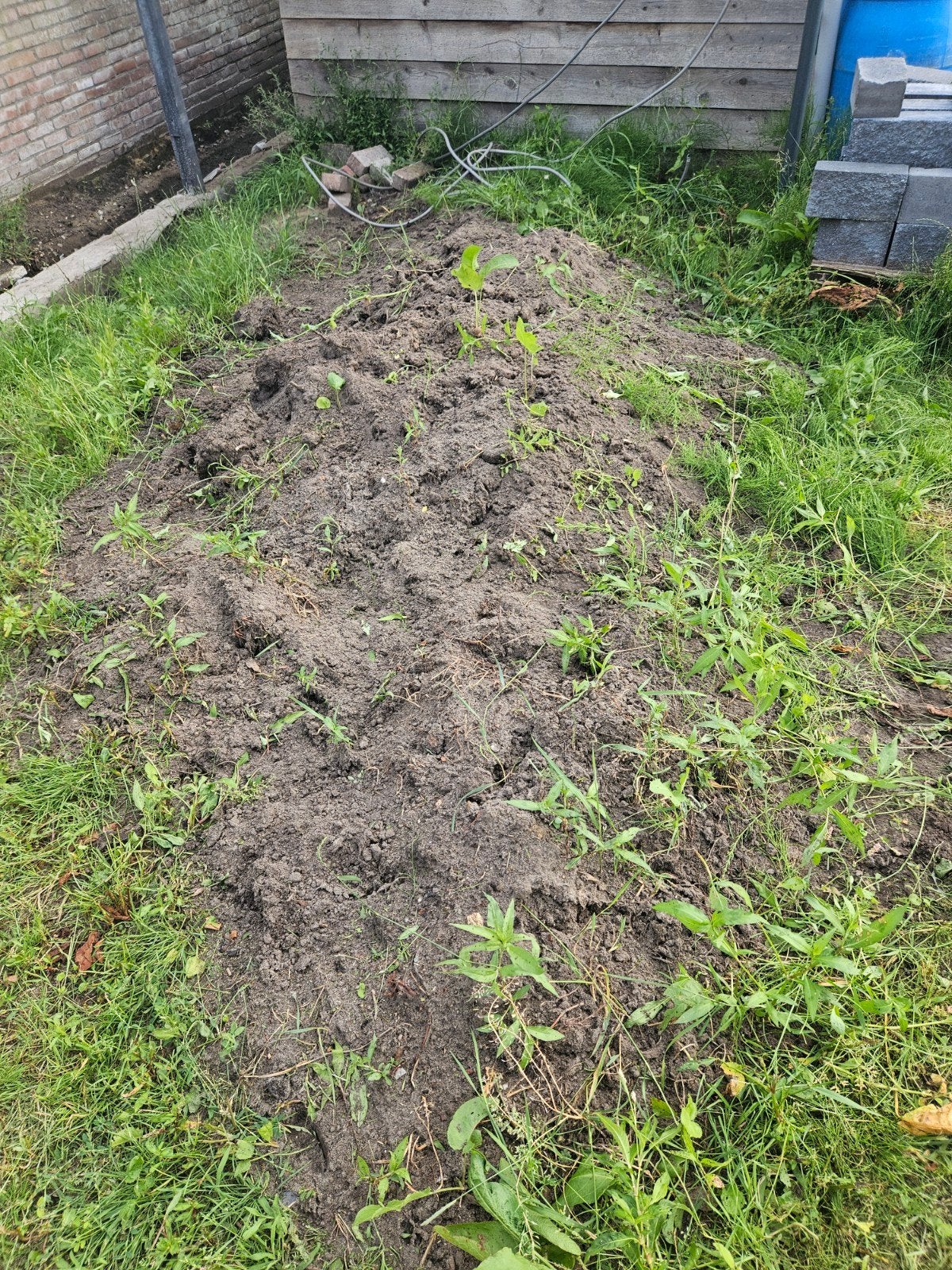 Gratis zwarte grond af te halen, Tuin en Terras, Zand, Ophalen of Verzenden, Gebruikt, Overige typen