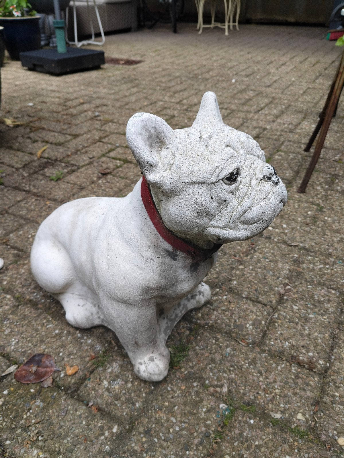 Tuinbeeld bulldog beton, Tuin en Terras, Tuinbeelden, Ophalen, Gebruikt, Beton, Dierenbeeld