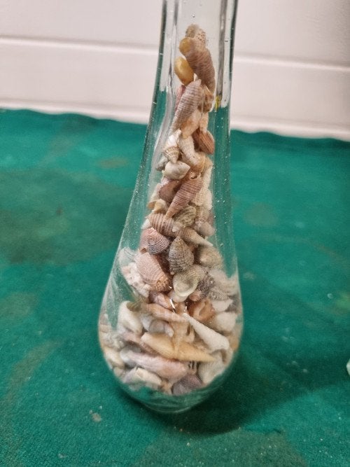 flesjes met mini schelpen 2 stuks, Ophalen of Verzenden, 'T Olde Gre-j, Info@toldegrej.nl, Endepoelstraat 20f Didam