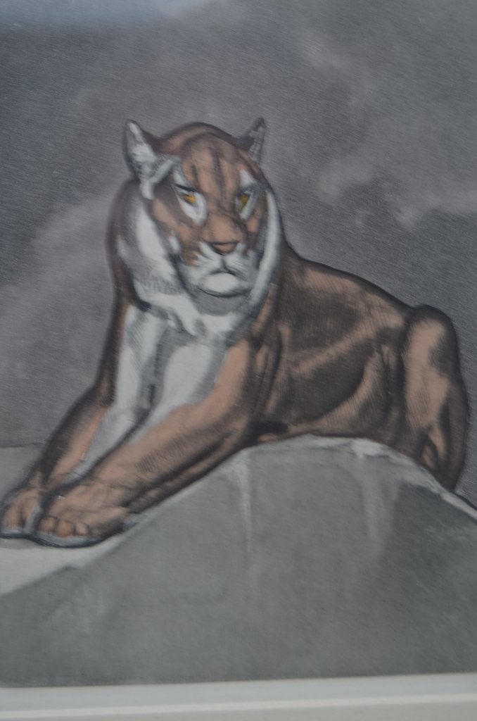 Litho Paul Jouve (1878 - 1973), Ingelijst, Ophalen of Verzenden, Dieren en Natuur, Lithografie