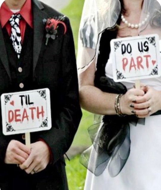 Gezocht Vitrage wit/zwart decoratie voor Halloween bruiloft, Ophalen of Verzenden, Zo goed als nieuw, Versiering, Geboorte of Huwelijk