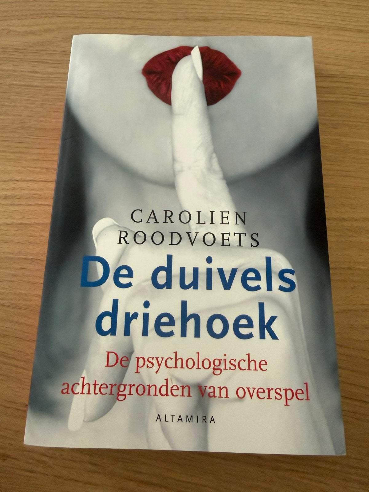De Duivelsdriehoek - Carolien Roodvoets (Zo goed als nieuw), Ophalen of Verzenden, Zo goed als nieuw, Nederland