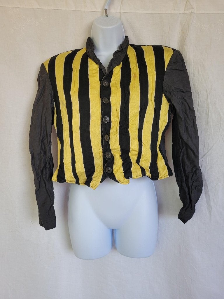 Leuk carnavals bovendeel zwart-geel gestreept mt S, Carnaval, ., Ophalen of Verzenden, Maat 36 (S)
