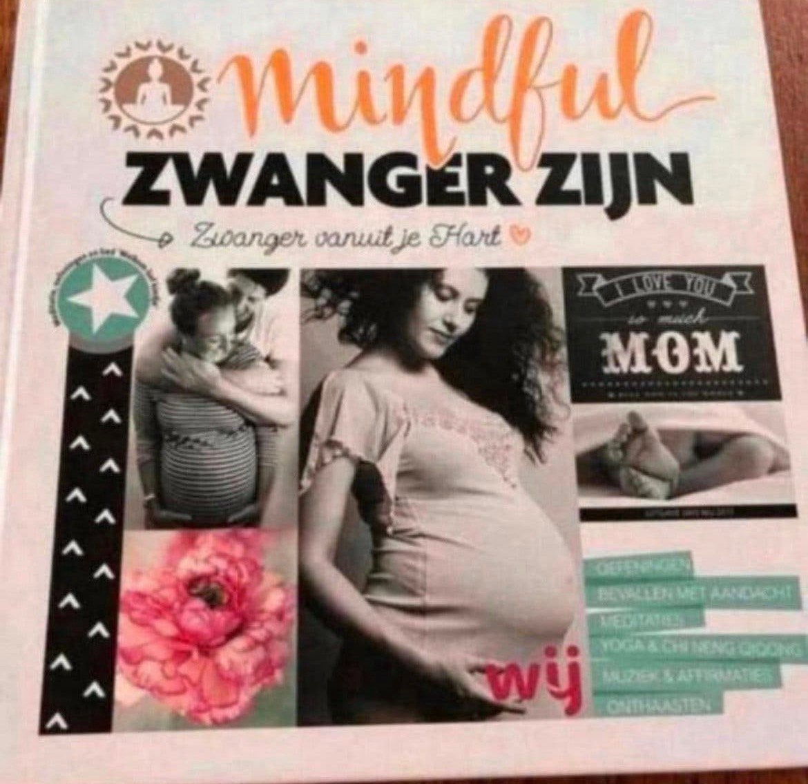 Zwangerschapsboek ‘Mindful zwanger zijn’, Ophalen of Verzenden, Nieuw, Zwangerschap en Bevalling