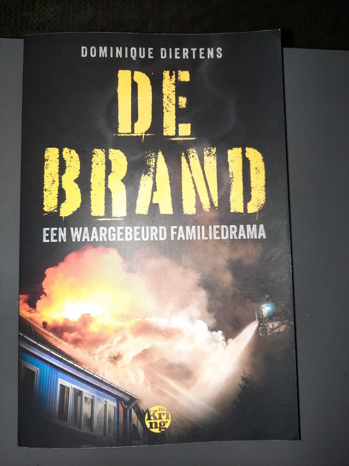 Dominique Diertens - De brand, Ophalen of Verzenden, Zo goed als nieuw, Dominique Diertens