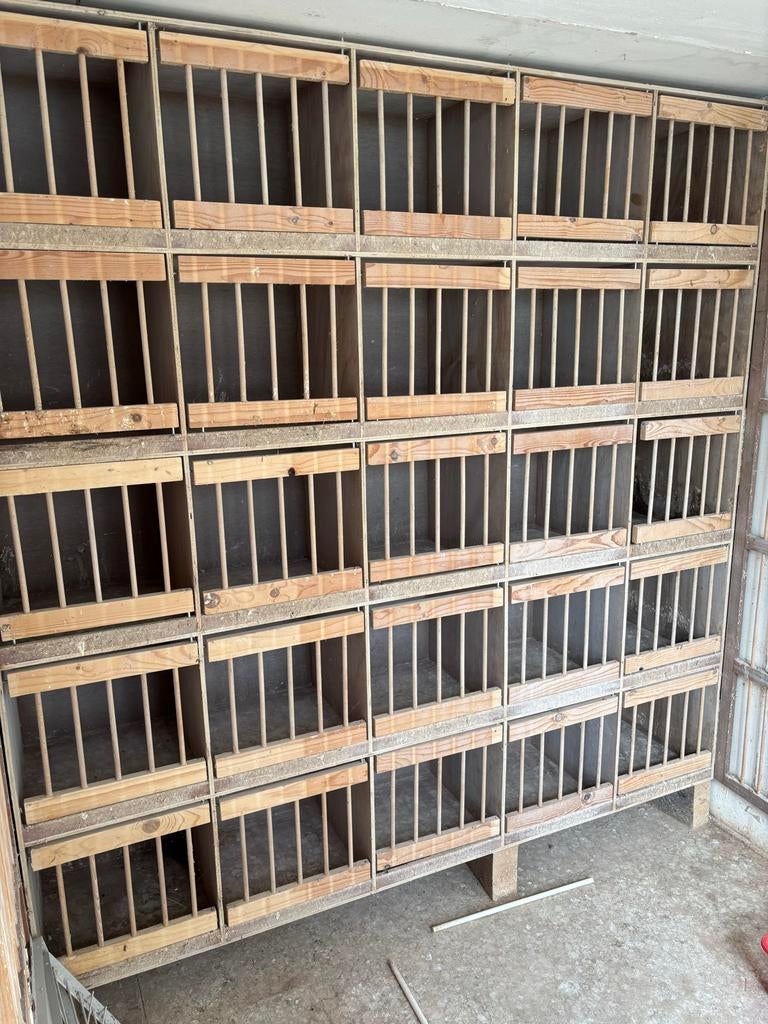 Houten broedkast voor  25 duiven, Ophalen, Hout, Broedkooi of Kweekkooi