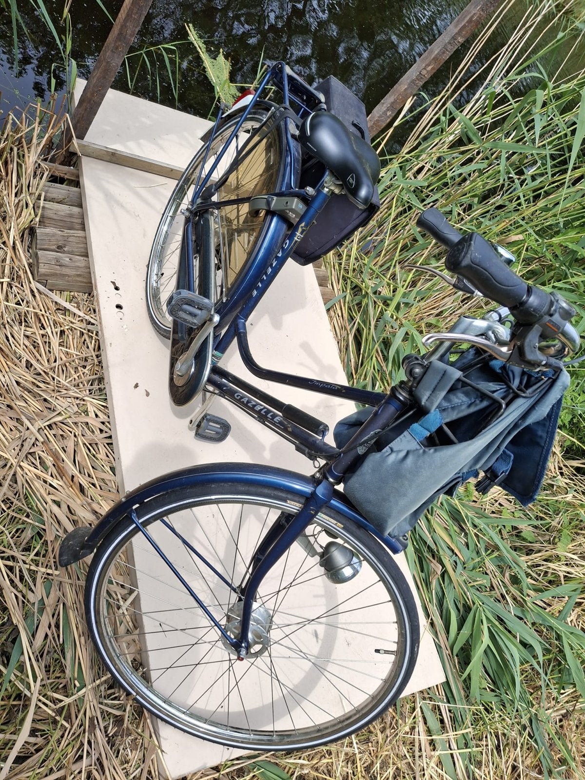 Gazelle Impala Damesfiets - Uitstekende Staat, Fietsen en Brommers, Fietsen | Dames | Damesfietsen, 53 tot 56 cm, Velgrem, Versnellingen