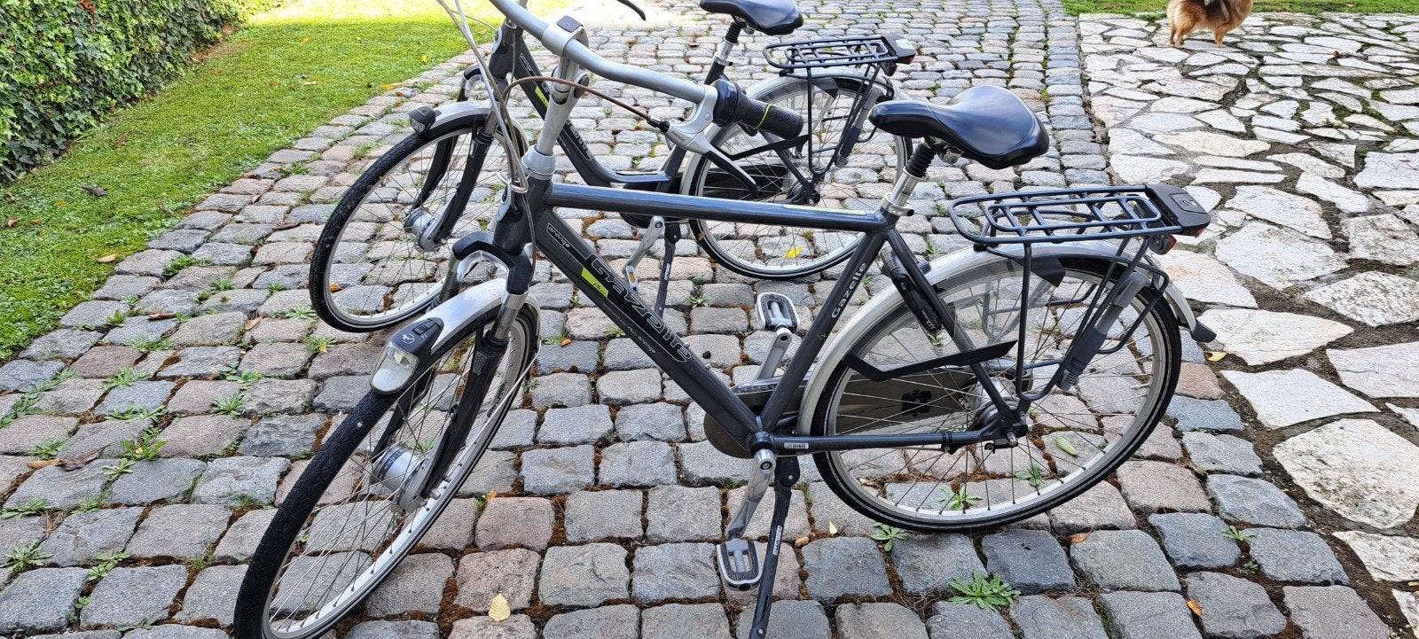 1x heren maat 53 & 1x dames maat 49 Gazelle orange plus (m2455018473 ...
