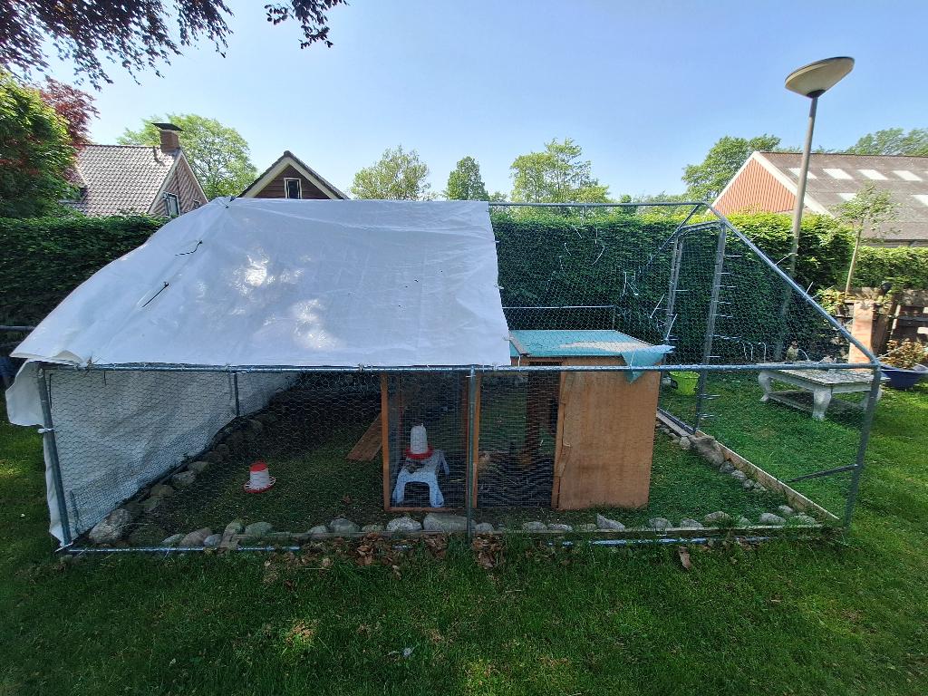 Kippenren, Ophalen, Nieuw, Kippenhok of Kippenren