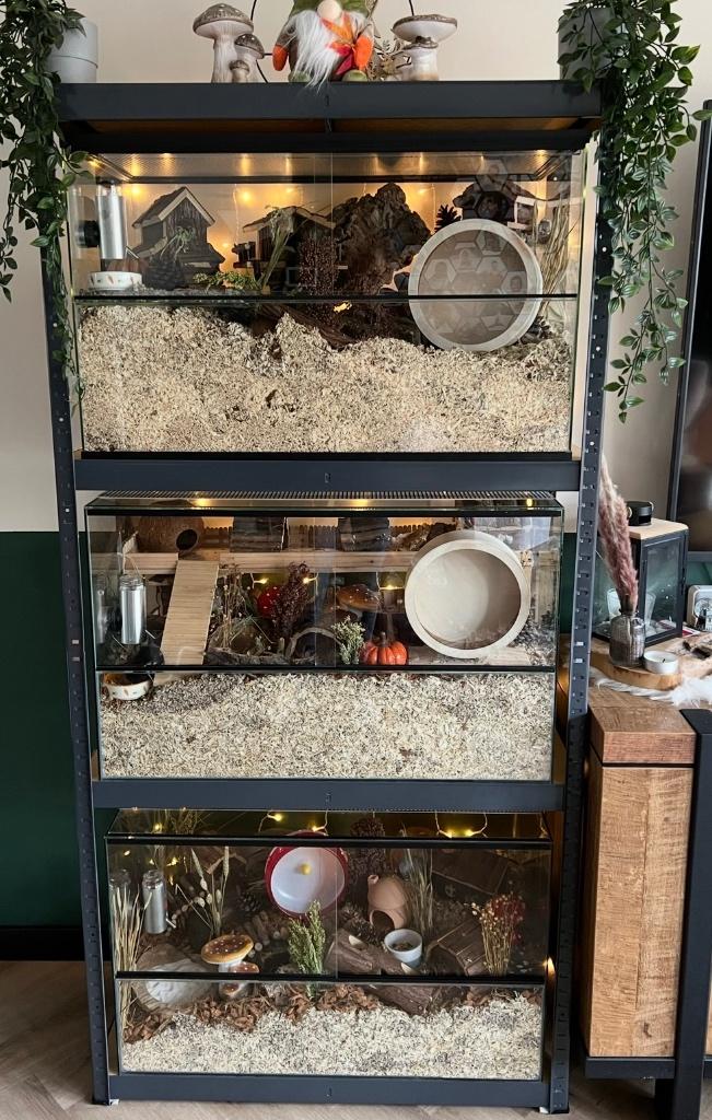 Terrariums plus hamsterspullen, Ophalen, Zo goed als nieuw, Overige typen