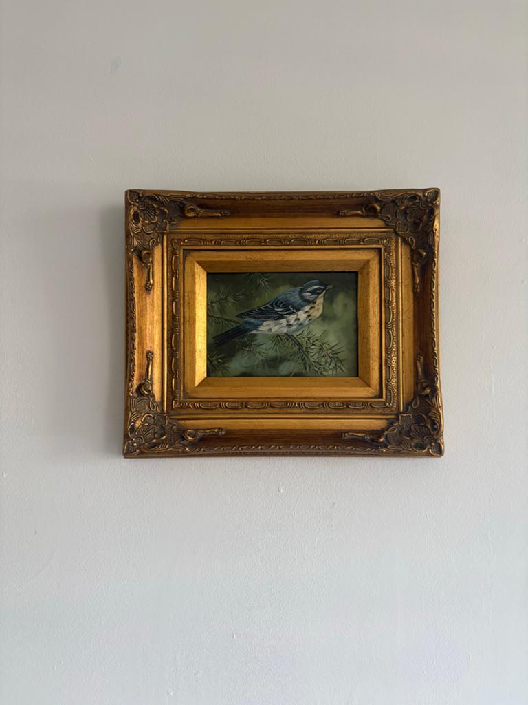 Klassiek Schilderij: Vogel in Gouden Barok Lijst (28x34 cm), Ophalen of Verzenden