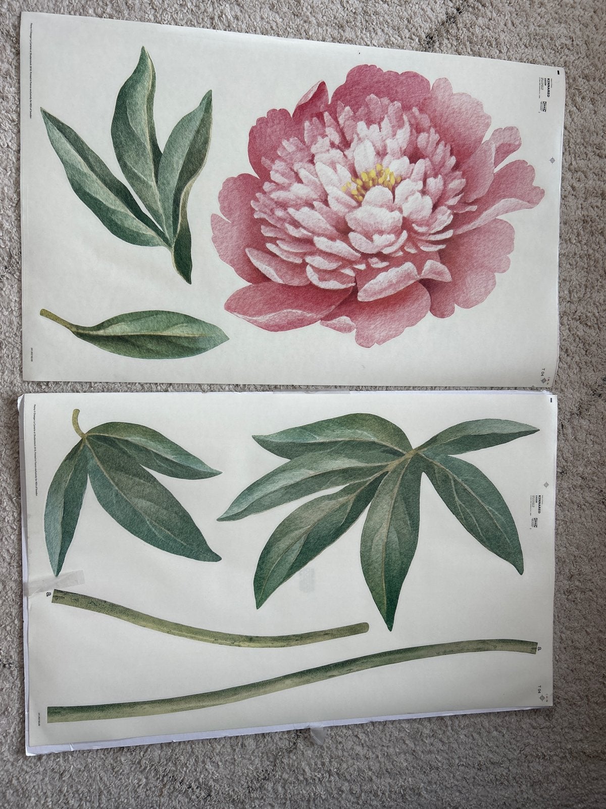 IKEA KINNARED Muursticker Pioenroos - Nieuw, Meerkleurig, Papier/karton, Ophalen of Verzenden, Botanisch