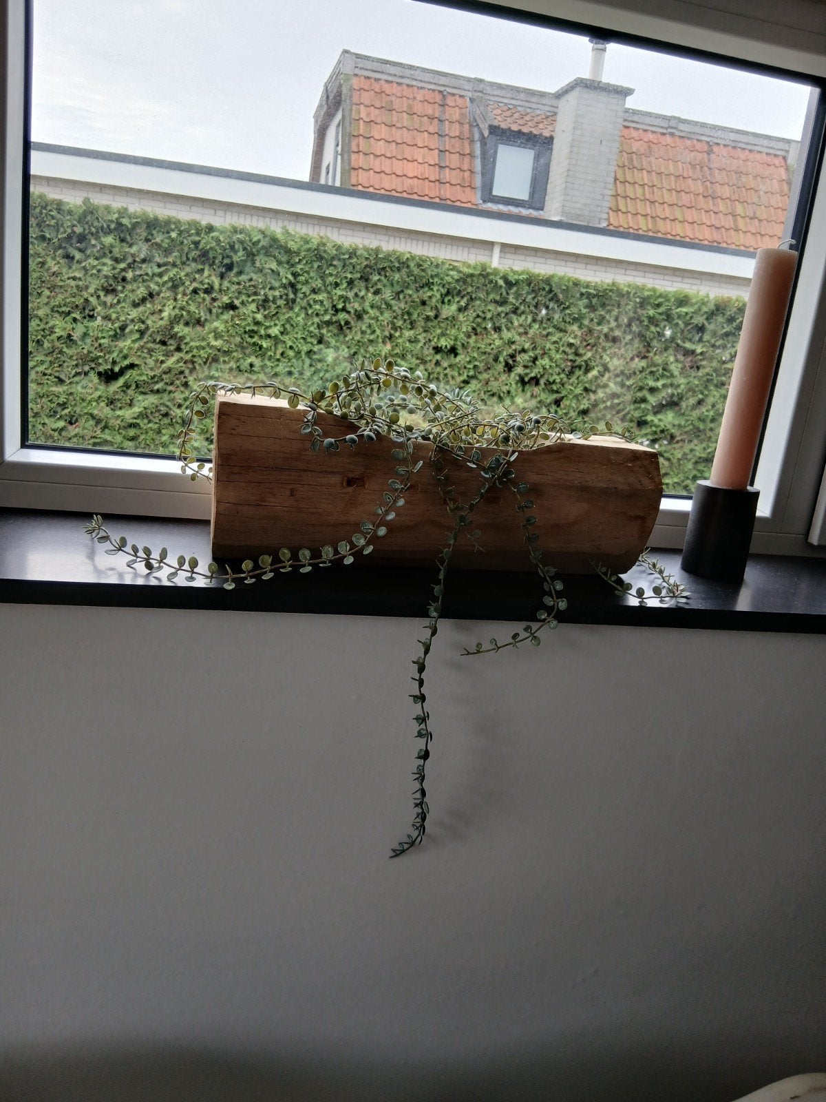 teak schaal/bak, Ophalen of Verzenden, Zo goed als nieuw, Handgemaakt, Plantenpot of Plantenbak