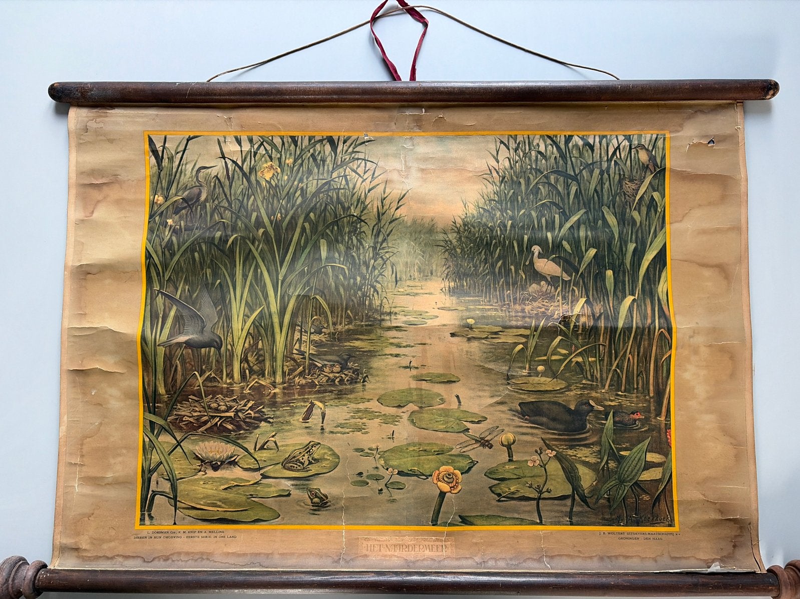 Vintage schoolplaat: Het Naardermeer & Aan het strand, Antiek en Kunst, Ophalen, Natuur en Biologie