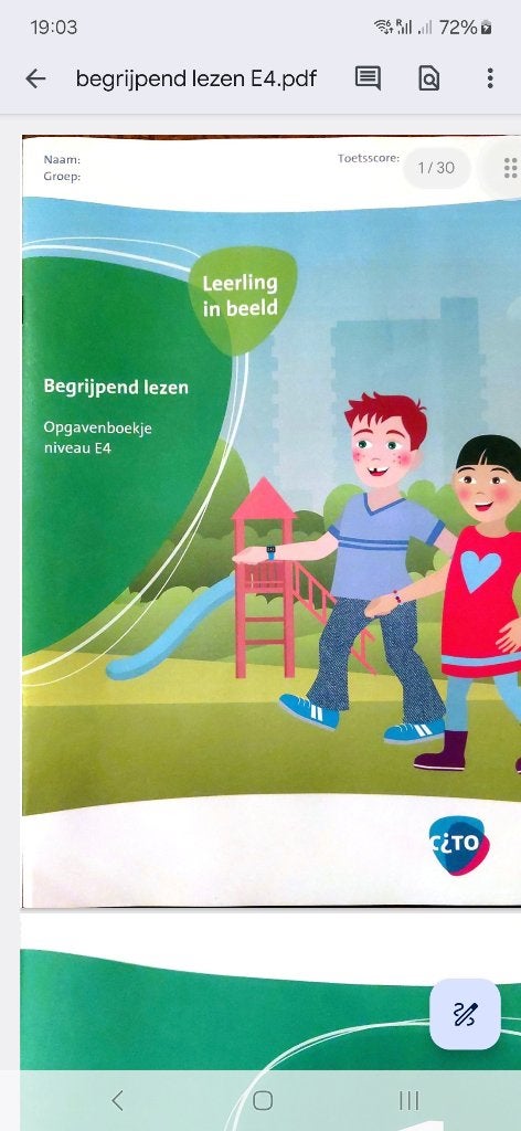 Cito Toetsen Groepen 4,5,6,7,8 NEW, Ophalen, Zo goed als nieuw, Overige niveaus, Nederlands