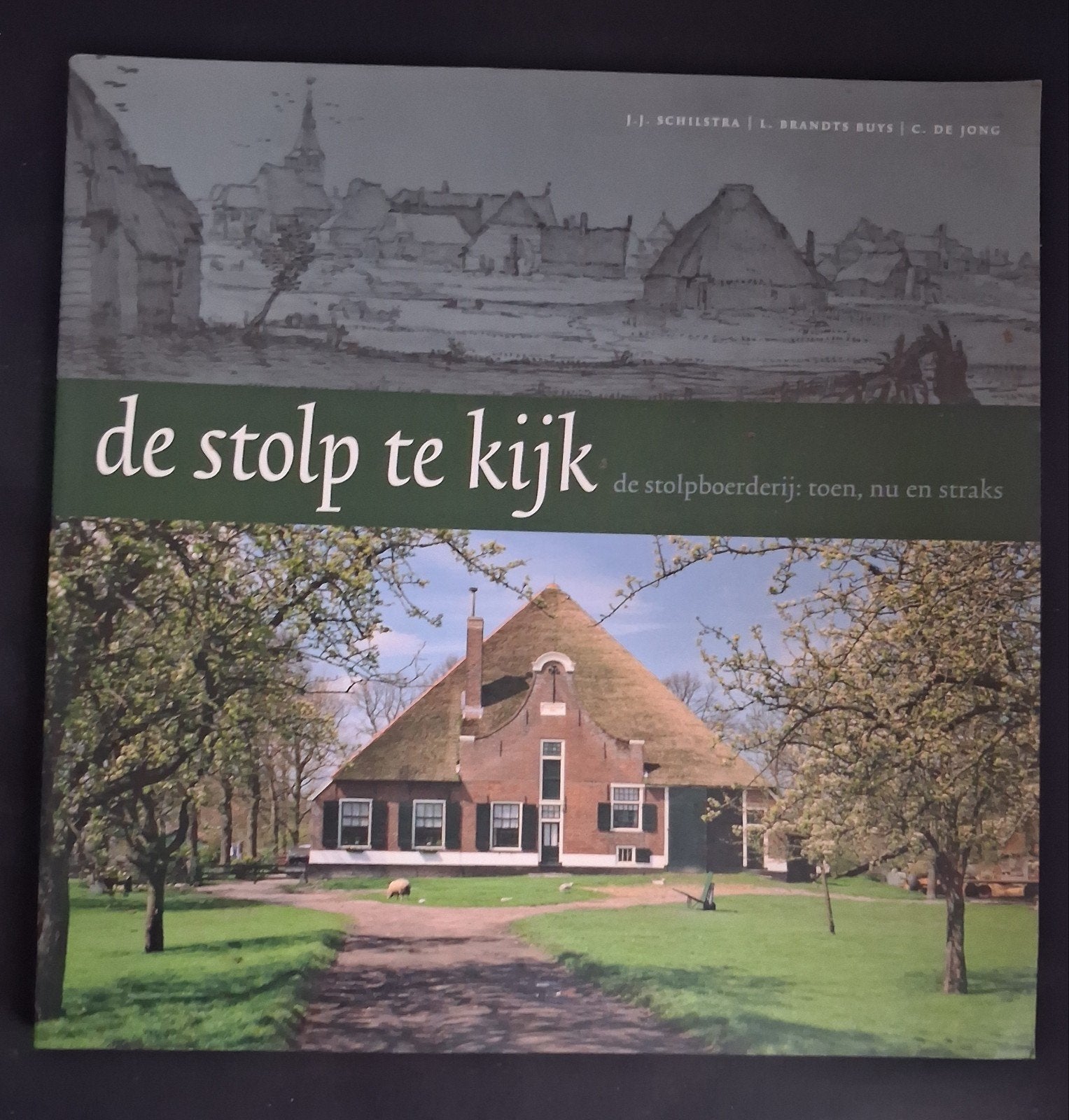 De stolp te kijk (33), Boeken, Geschiedenis | Stad en Regio, Nieuw, 19e eeuw, Ophalen of Verzenden