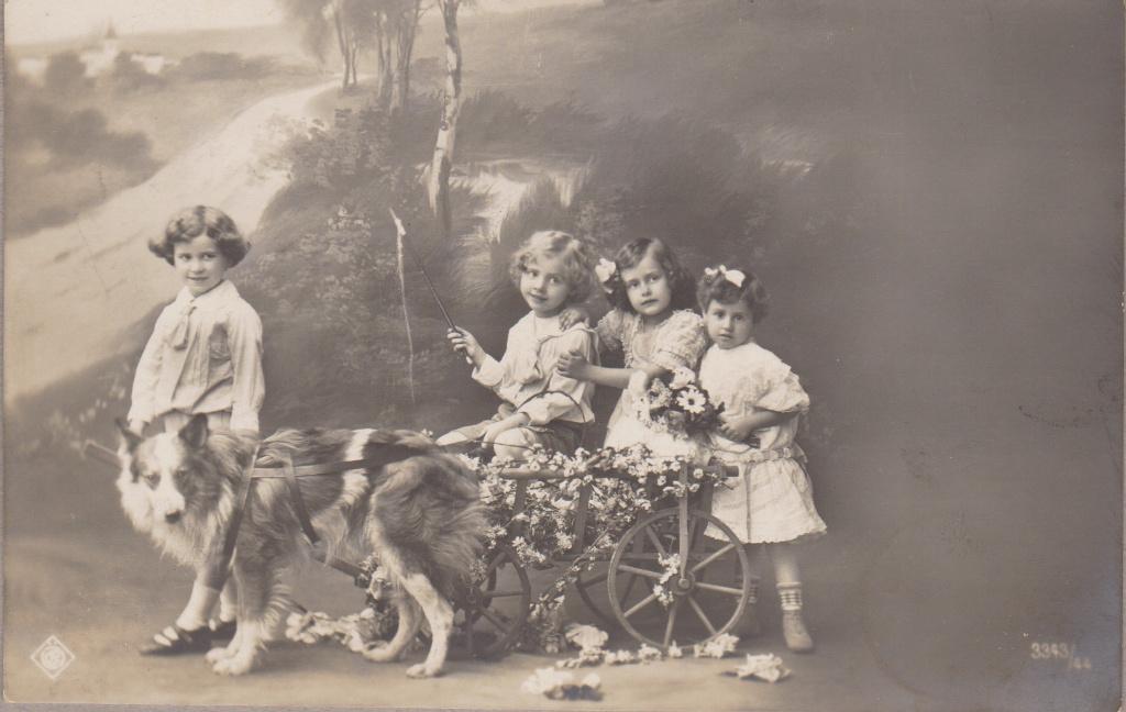 Kinderen Schotse Collie & Kar. Zeer oude AK. 1912, Verzenden, Voor 1920, Gelopen, Kinderen